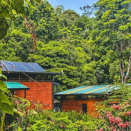 Selva Madre Eco-Sanctuary Aparthotel Cahuita Ngoại thất bức ảnh