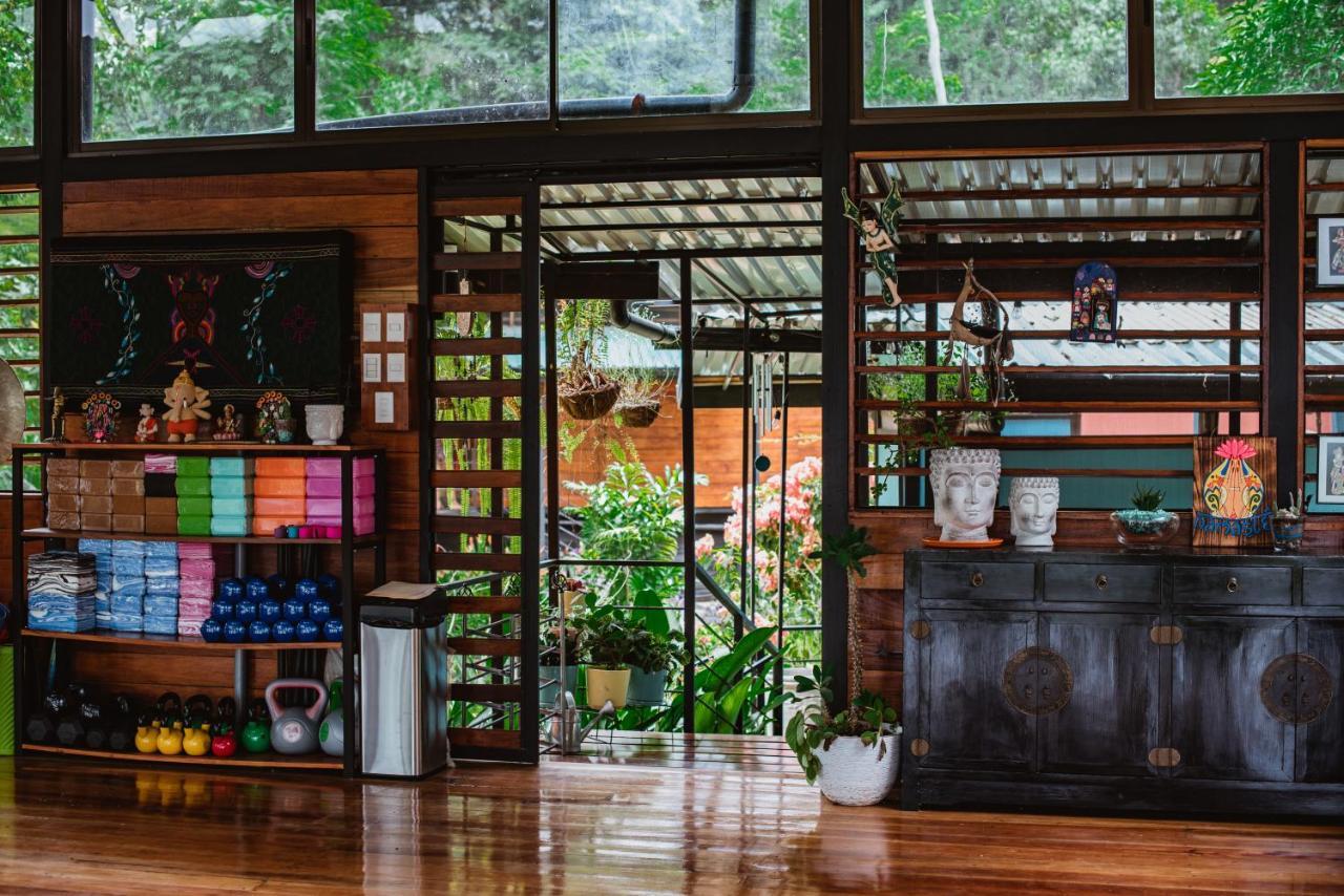 Selva Madre Eco-Sanctuary Aparthotel Cahuita Ngoại thất bức ảnh
