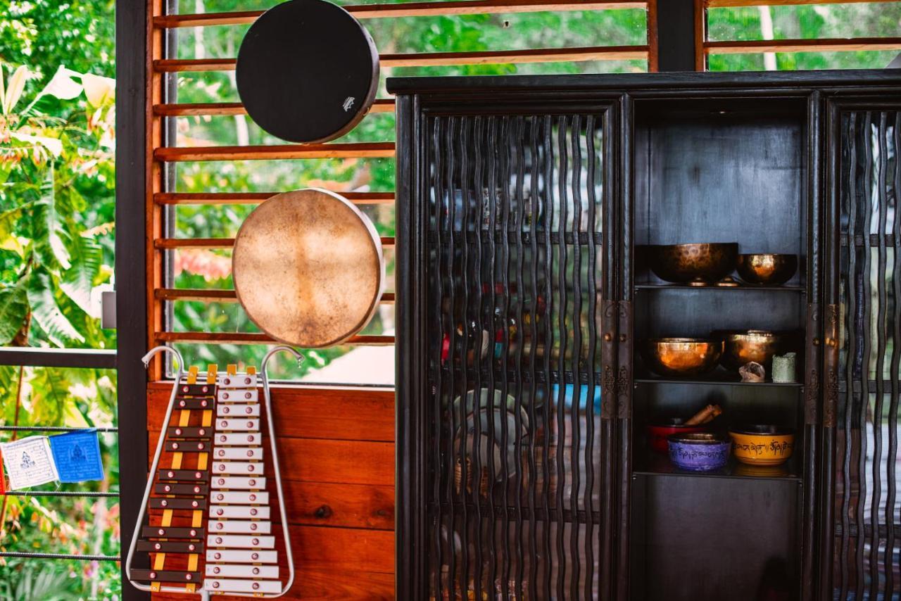 Selva Madre Eco-Sanctuary Aparthotel Cahuita Ngoại thất bức ảnh