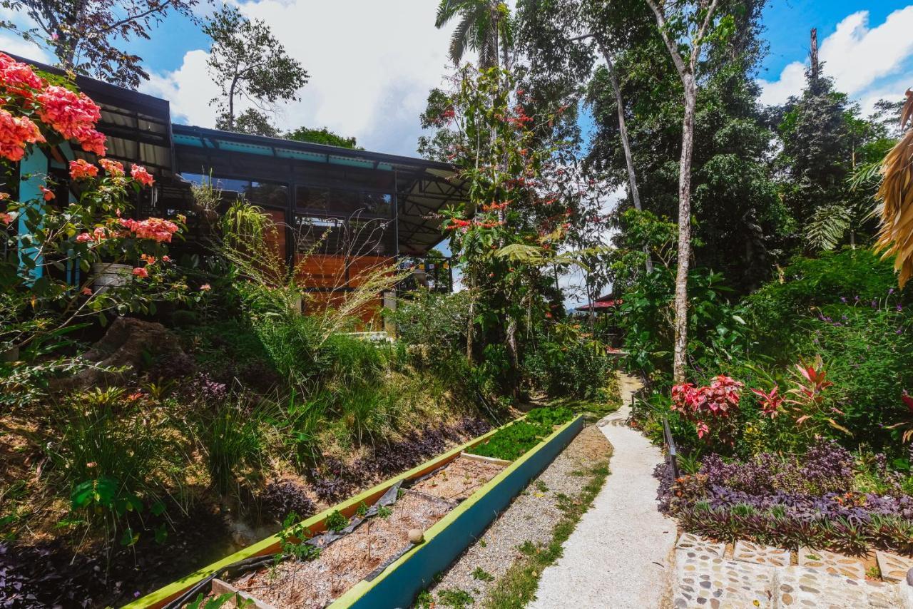 Selva Madre Eco-Sanctuary Aparthotel Cahuita Ngoại thất bức ảnh
