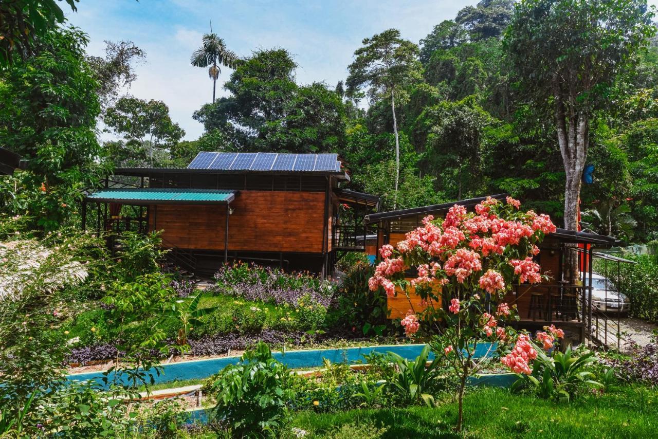 Selva Madre Eco-Sanctuary Aparthotel Cahuita Ngoại thất bức ảnh