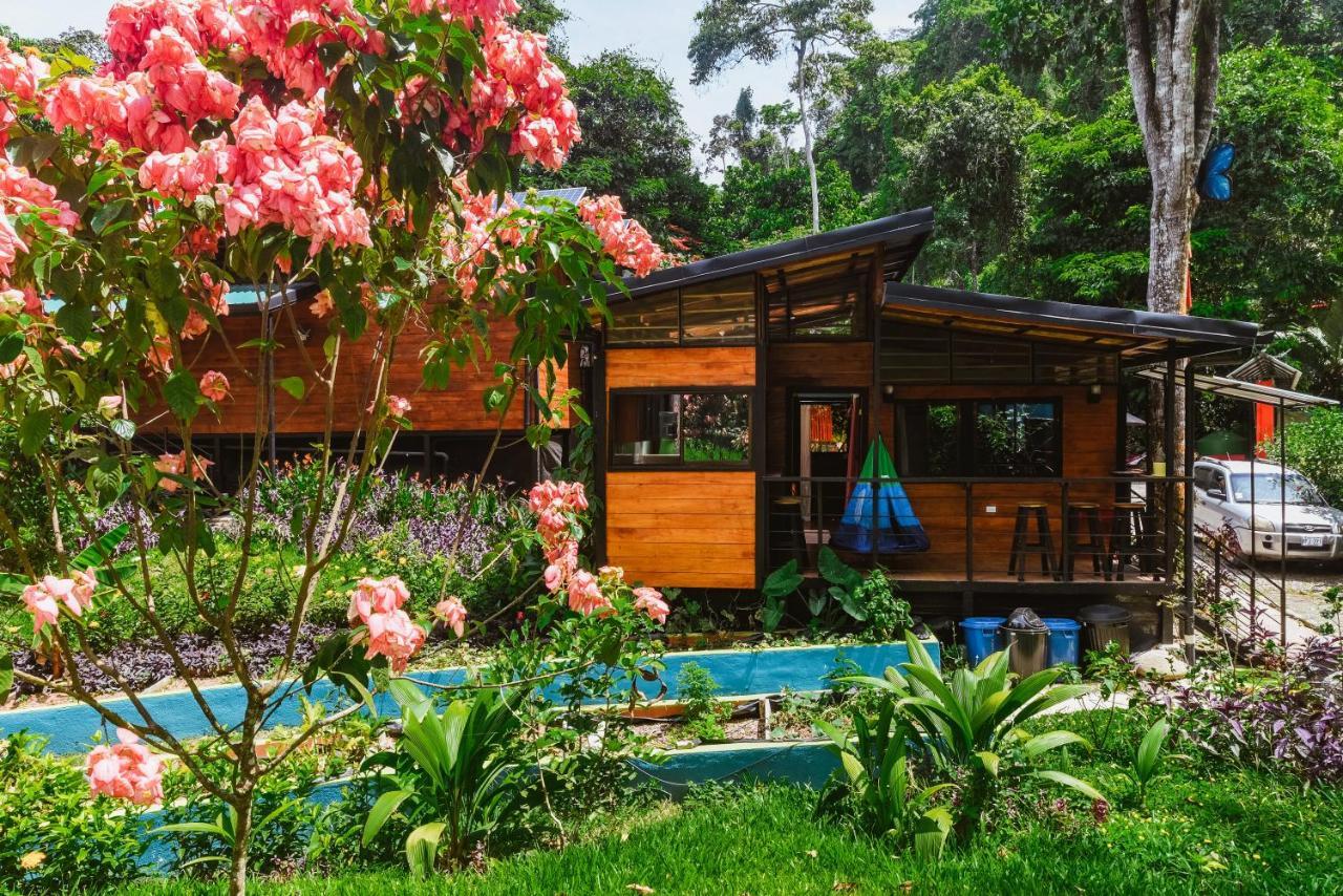Selva Madre Eco-Sanctuary Aparthotel Cahuita Ngoại thất bức ảnh