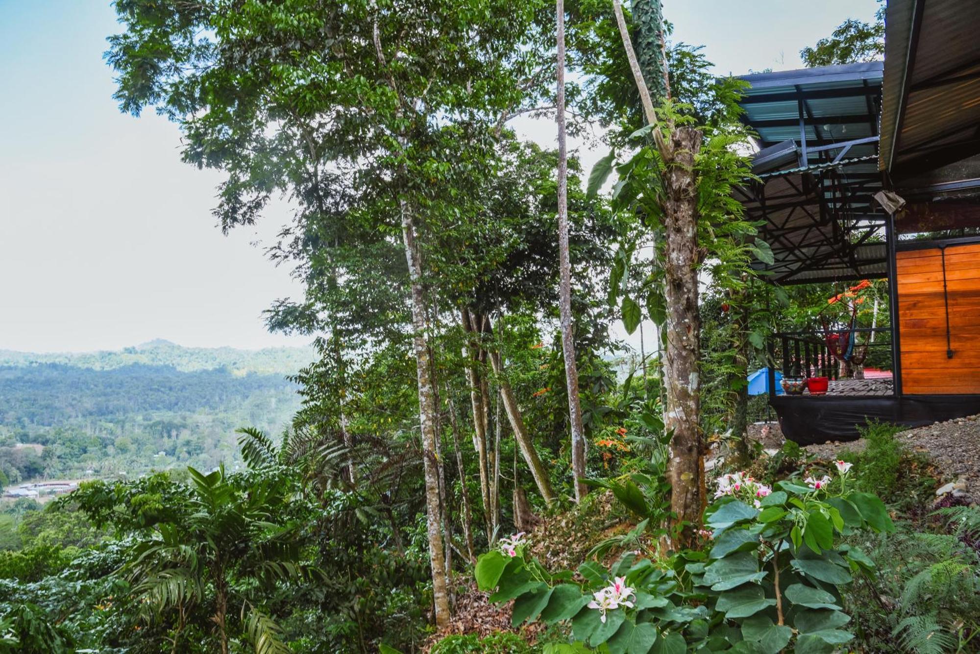 Selva Madre Eco-Sanctuary Aparthotel Cahuita Ngoại thất bức ảnh