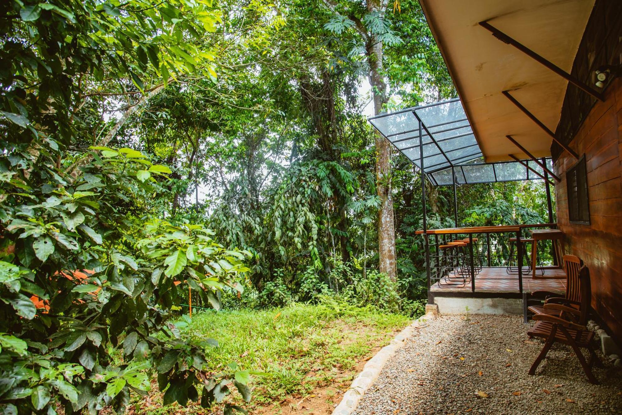 Selva Madre Eco-Sanctuary Aparthotel Cahuita Ngoại thất bức ảnh