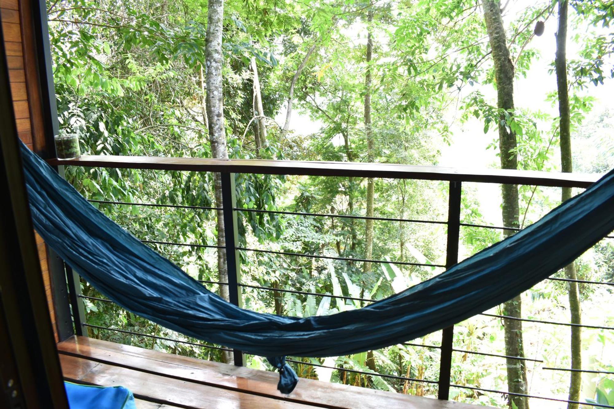 Selva Madre Eco-Sanctuary Aparthotel Cahuita Ngoại thất bức ảnh