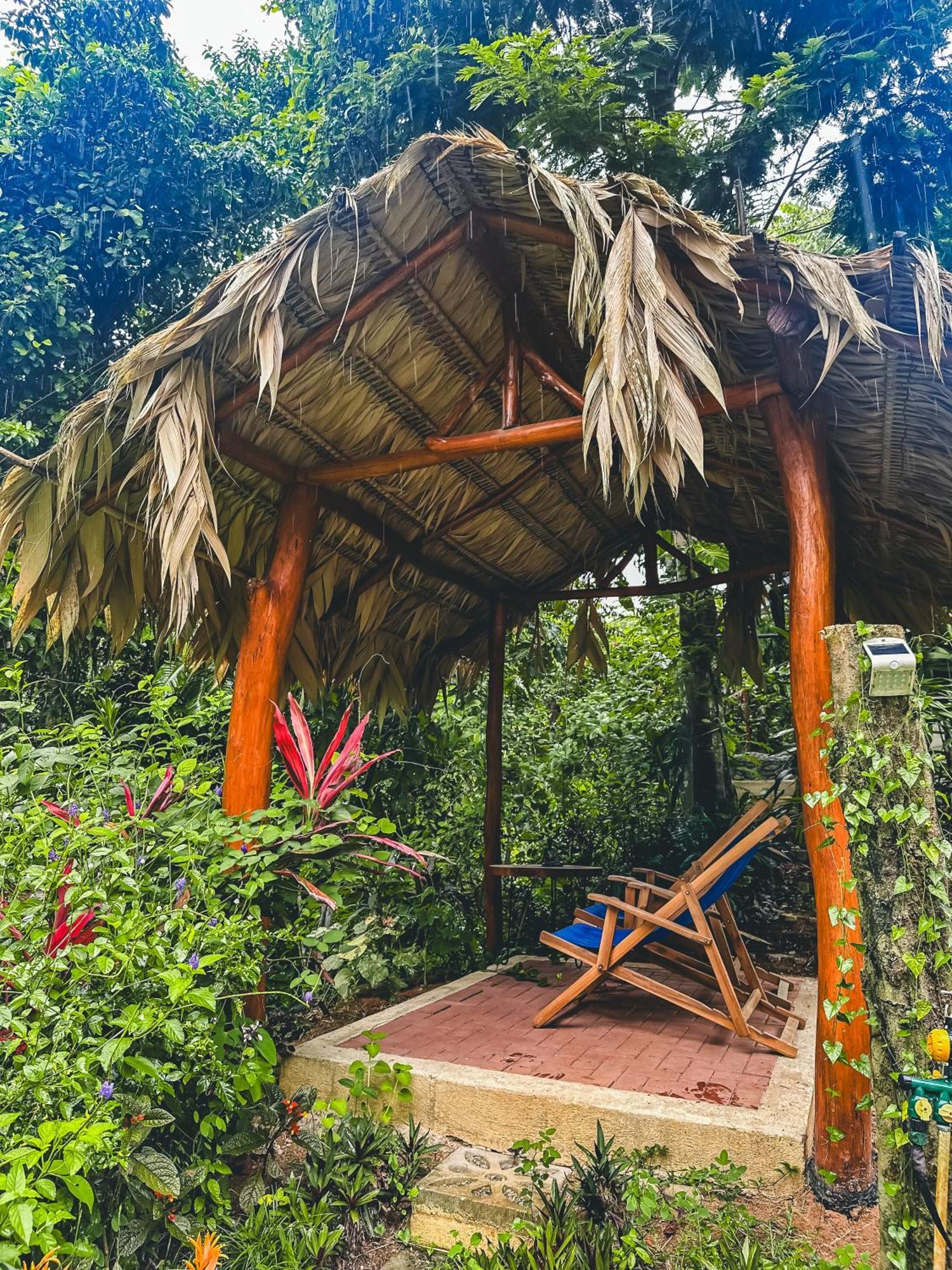 Selva Madre Eco-Sanctuary Aparthotel Cahuita Ngoại thất bức ảnh