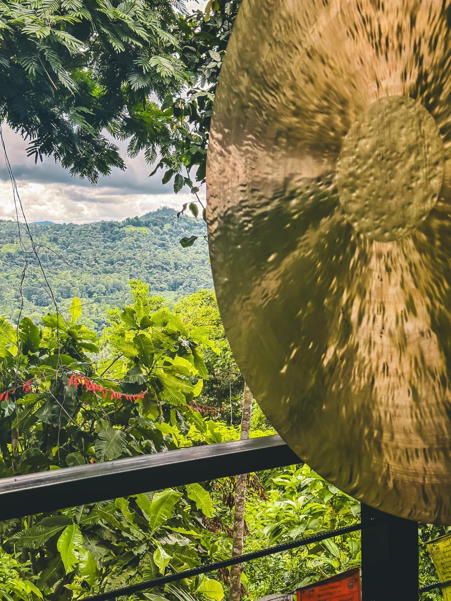 Selva Madre Eco-Sanctuary Aparthotel Cahuita Ngoại thất bức ảnh