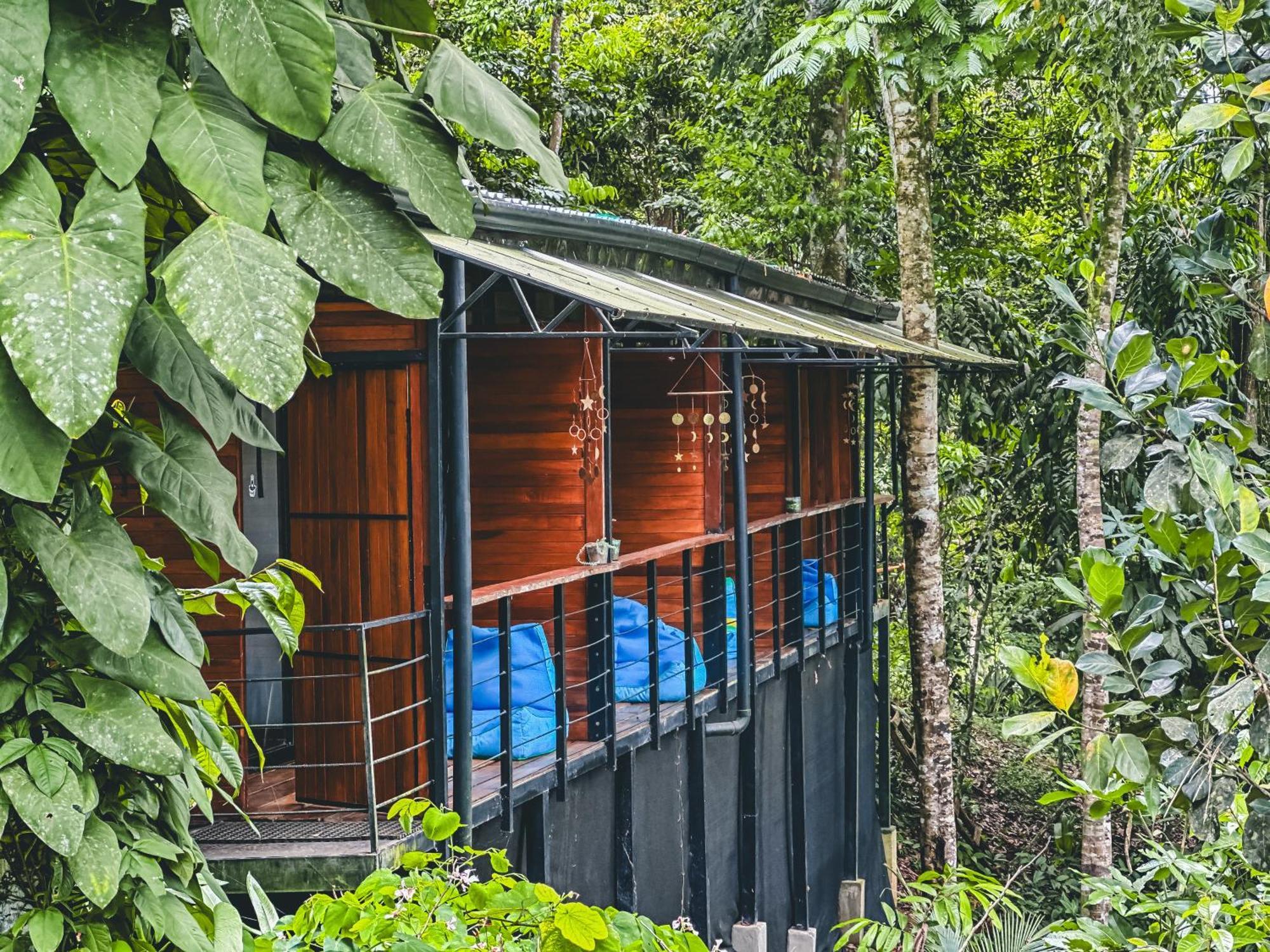 Selva Madre Eco-Sanctuary Aparthotel Cahuita Ngoại thất bức ảnh